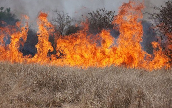 Rains fuel the growth of grasses and other vegetation, increasing fire risk once the land dries out.